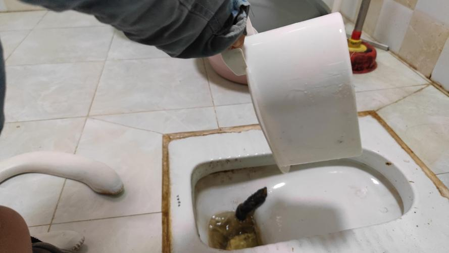 梦到拉屎了(梦到拉屎了很多屎)