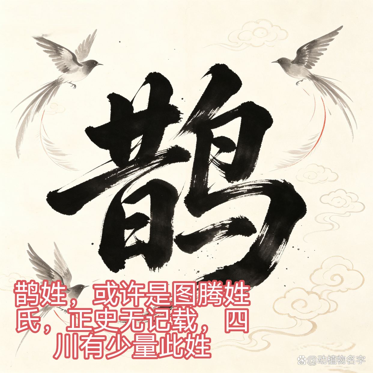 全国100大动物姓氏排名(全国100大动物姓氏排名图片)