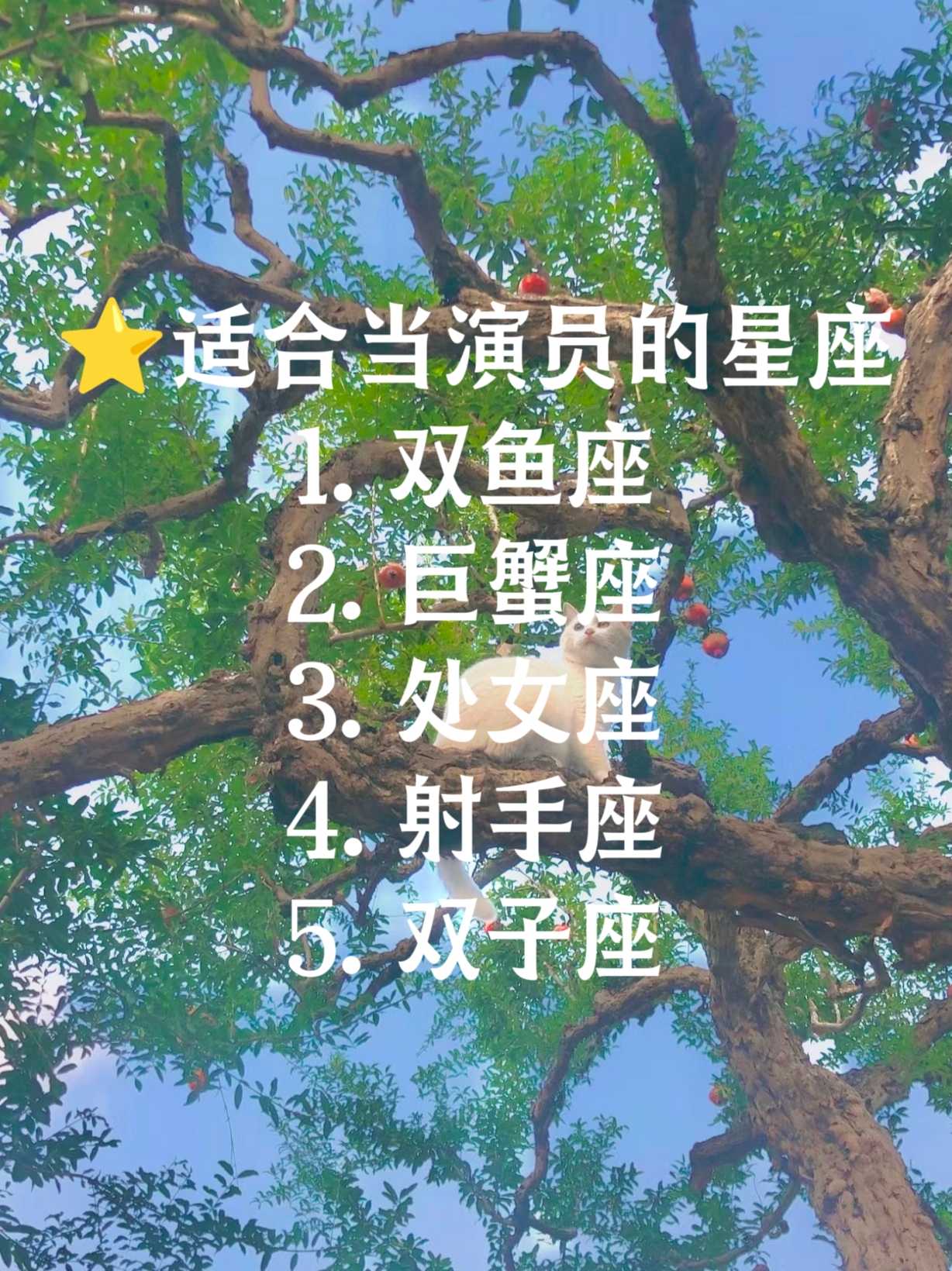 星座是伪科学吗(星座伪科学背后的心理效应) 星座是伪科学吗(星座伪科学背后的心理效应)