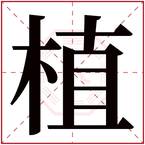 卜易居姓名测试步骤(卜易居姓名测试打分步骤)