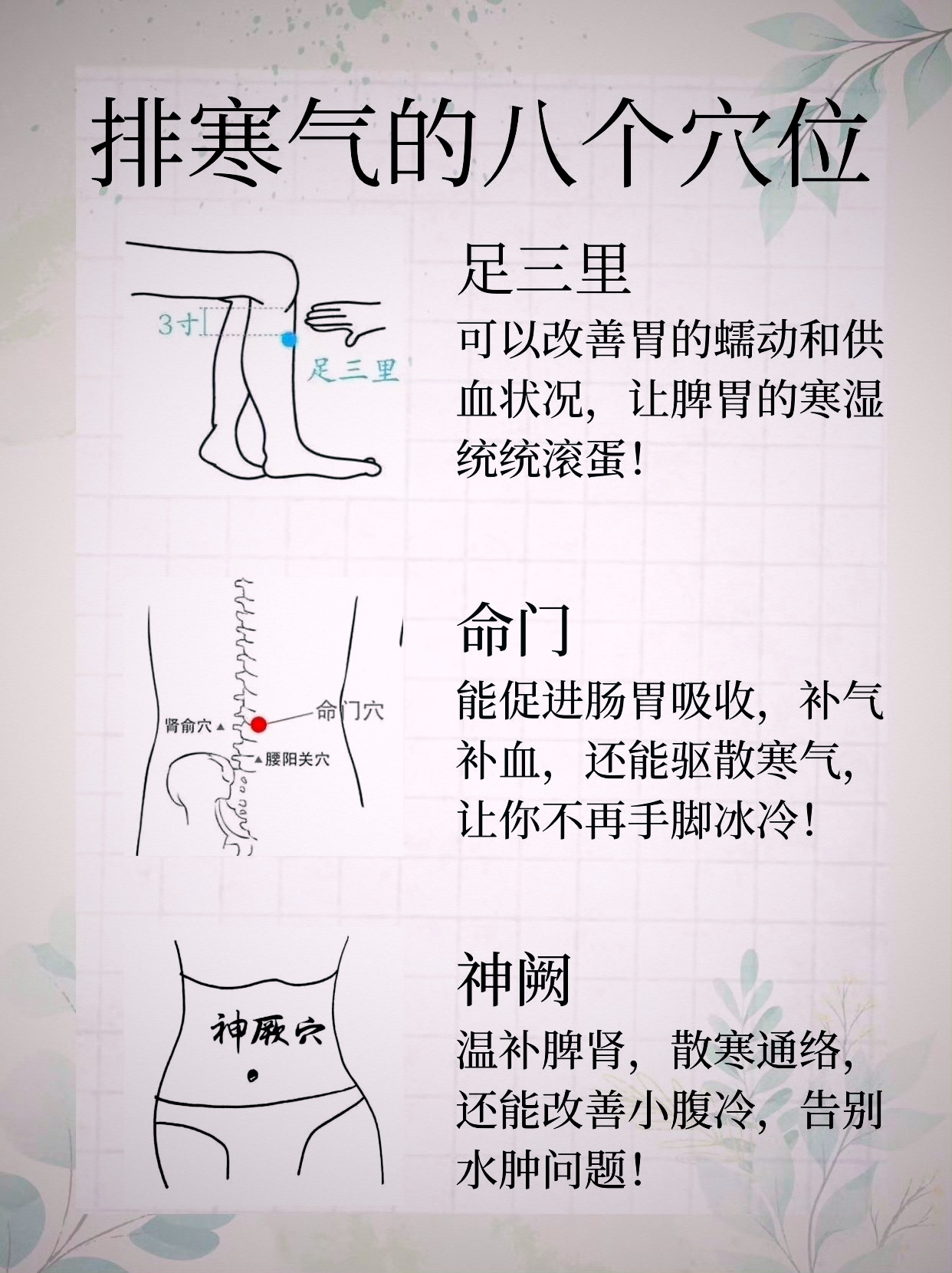 阴宅穴位大全(阴宅穴位选择要点)