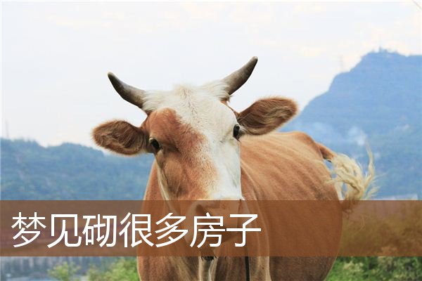 周公解梦原版梦见房屋倒塌的含义(周公解梦全解查询梦见房屋倒塌什么意思)