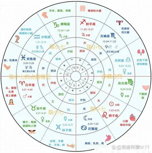 荣格的占星理论对吗(荣格的阴影理论结构表达是什么)