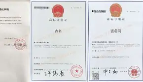 三藏测名字免费测试在线(三藏测名字免费测试在线查询)