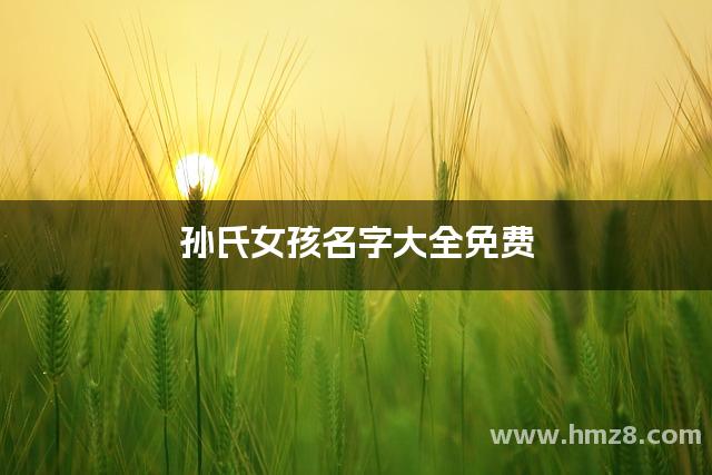 孙姓起名字大全男孩(孙姓男孩取名热门组合)