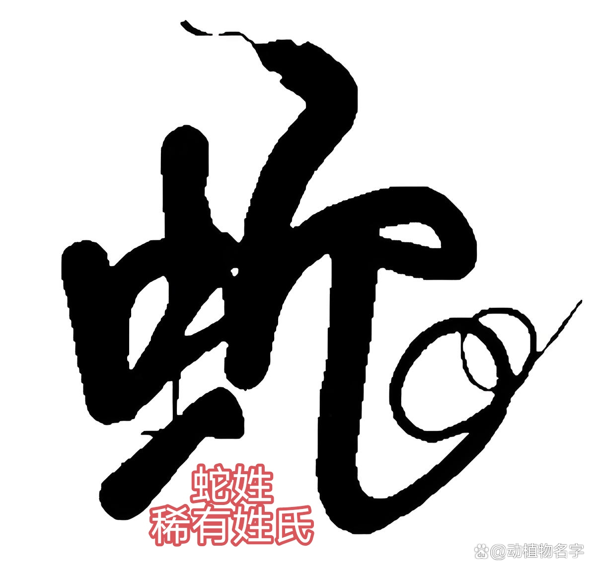 动物姓氏一览表(动物名为姓氏有哪些)
