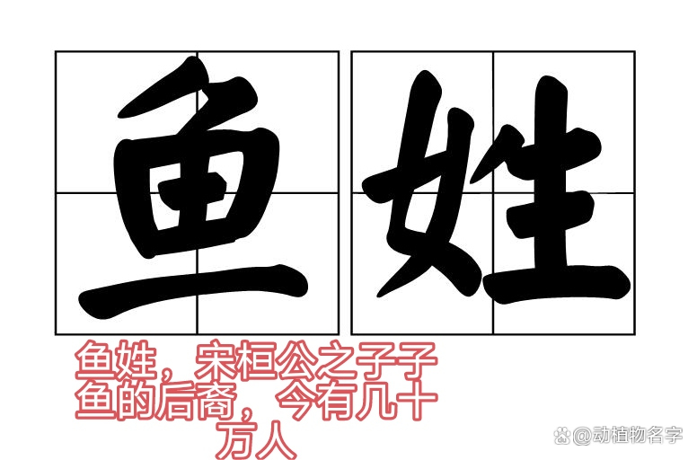 动物姓氏的由来简介(与动物有关的姓氏常见的)