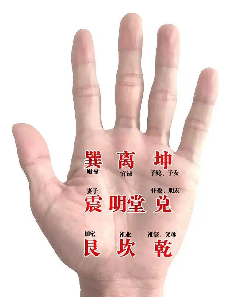 八字命理实战宝典(女命八字实例详解300例) 八字命理实战宝典(女命八字实例详解300例)