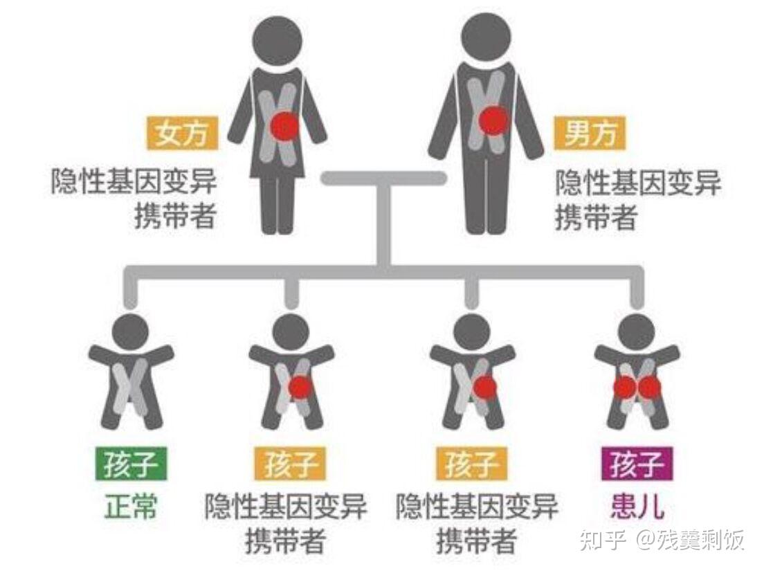 狐臭一般遗传几代人狐臭挂哪个科的简单介绍