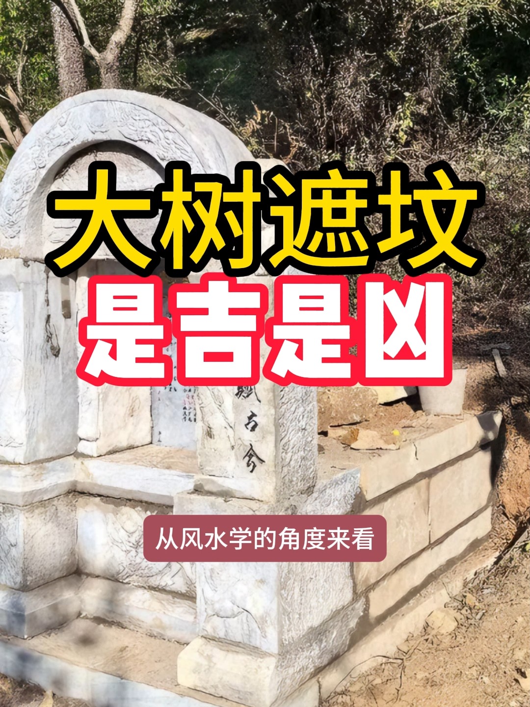墓地风水是迷信还是科学(墓地风水是迷信还是科学的)