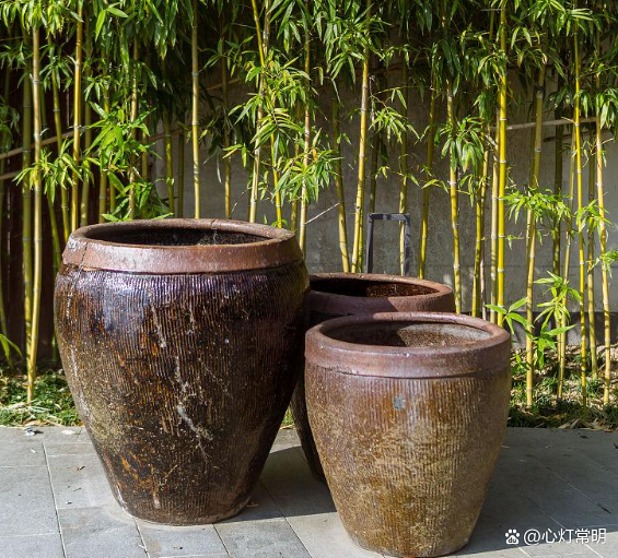 大门口放水缸怎么摆最旺财(大门口摆2个水缸摆在哪个位置最好) 大门口放水缸怎么摆最旺财(大门口摆2个水缸摆在哪个位置最好)