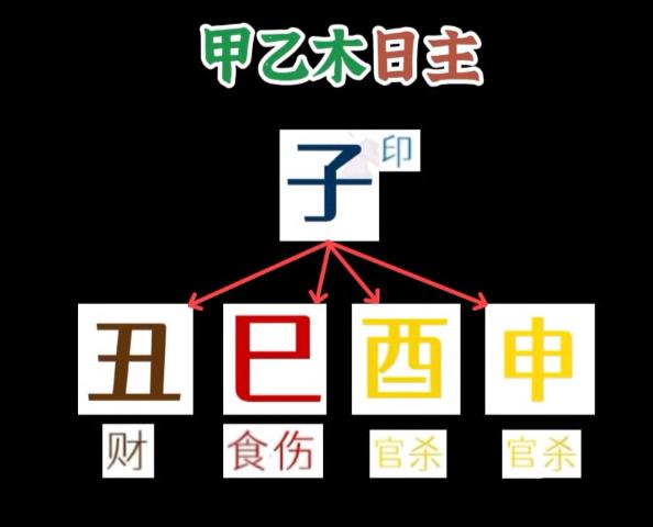 八字有科学道理吗为什么(为什么有的八字很好算)