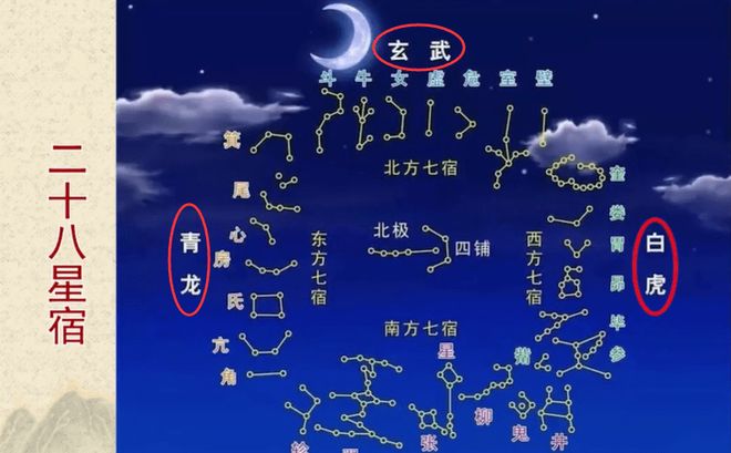 白虎是什么意思易经解释(白虎是什么意思指的是什么生肖) 白虎是什么意思易经解释(白虎是什么意思指的是什么生肖)