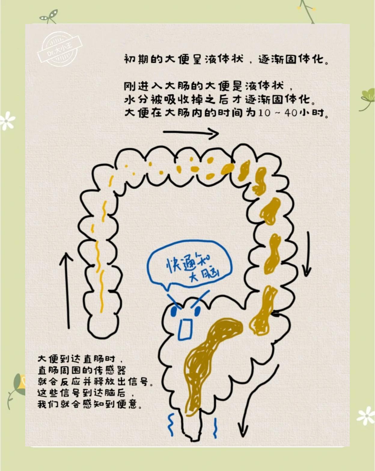 周公解梦排便代表什么征兆呢(周公解梦排便代表什么征兆呢女) 周公解梦排便代表什么征兆呢(周公解梦排便代表什么征兆呢女)