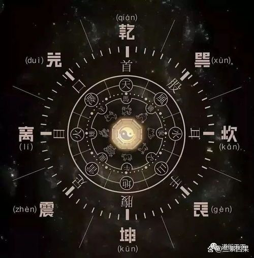 梅花易数占卜婚姻(梅花易数占卜准不准确)