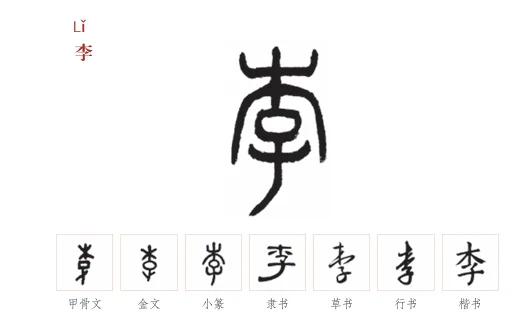 百家姓李的由来简介(百家姓之李姓氏起源来历)