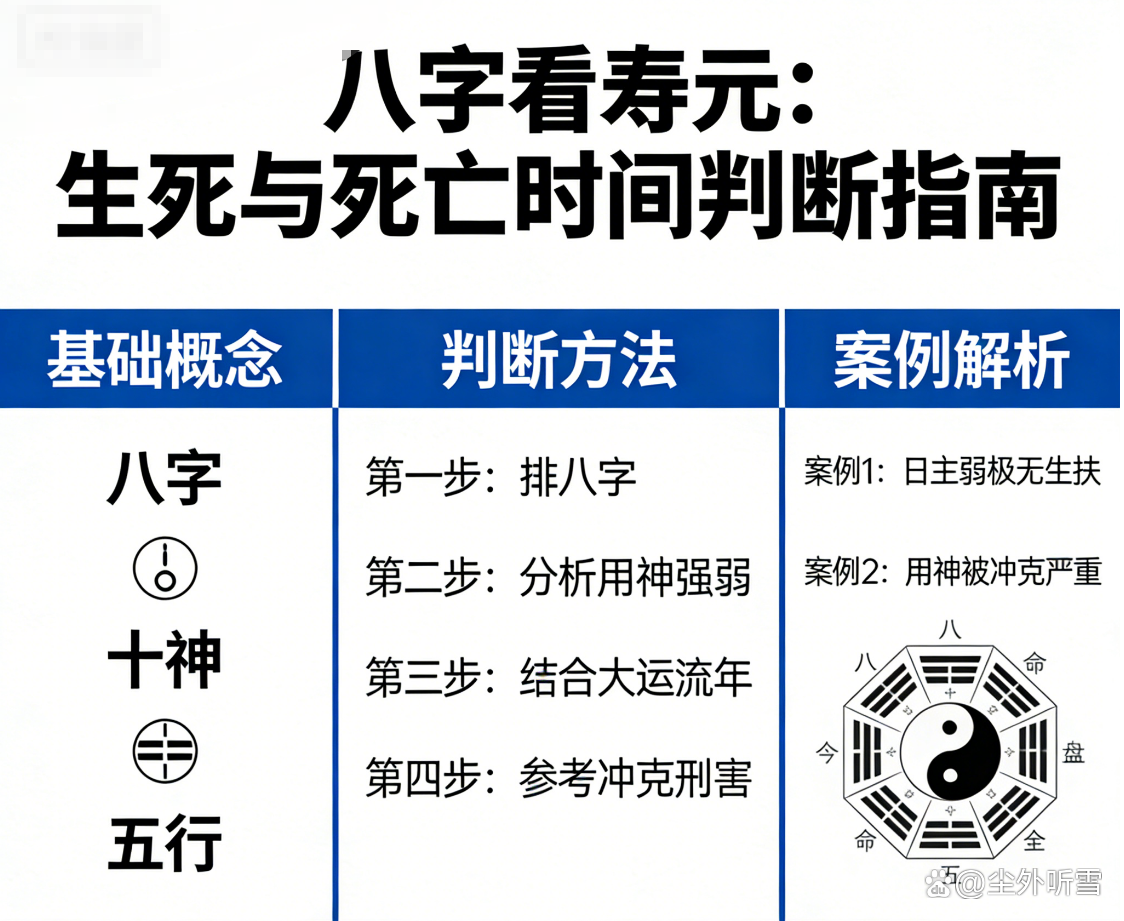 怎么能看八字免费(免费查自己八字贵人步骤)