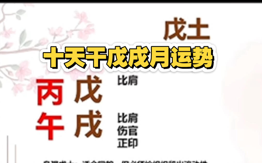 八字免费查自己运势(免费测八字最准的软件)
