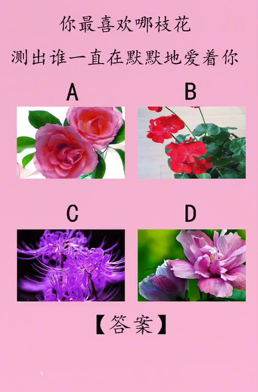 占卜免费测算爱情的方法是什么(占卜免费测算爱情的方法是什么意思)