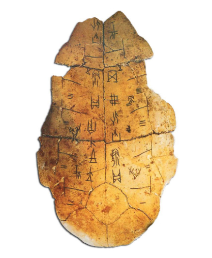 六爻卜卦龟壳怎么用(六爻龟壳占卜用哪种龟壳)