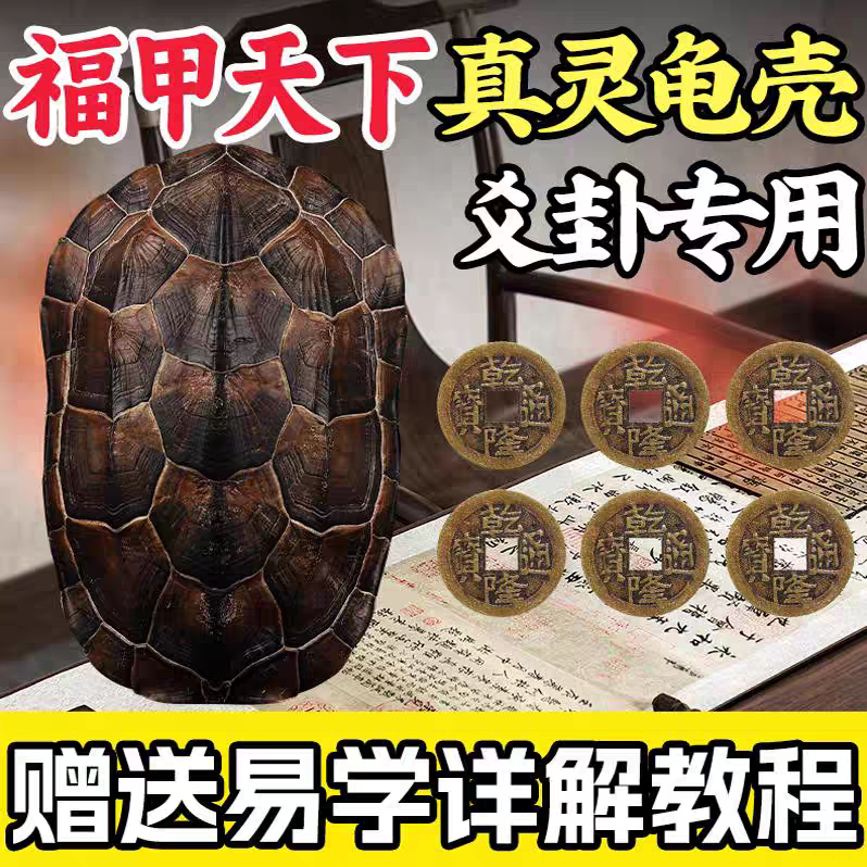 六爻龟壳占卜结果怎么看出来(六爻龟壳占卜怎么用) 六爻龟壳占卜结果怎么看出来(六爻龟壳占卜怎么用)
