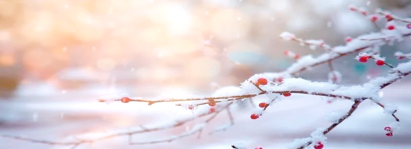梦见下雪是吉是凶预示什么(梦见下雪是吉是凶预示什么周公解梦)