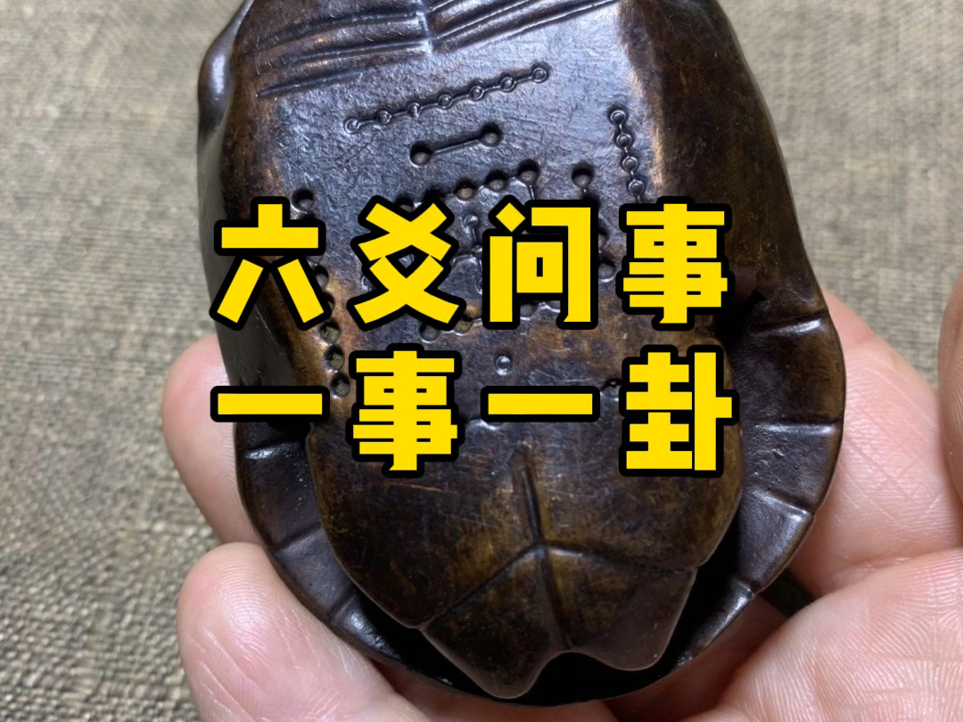 卜卦问事图片(卜卦问事图片表情包) 卜卦问事图片(卜卦问事图片表情包)