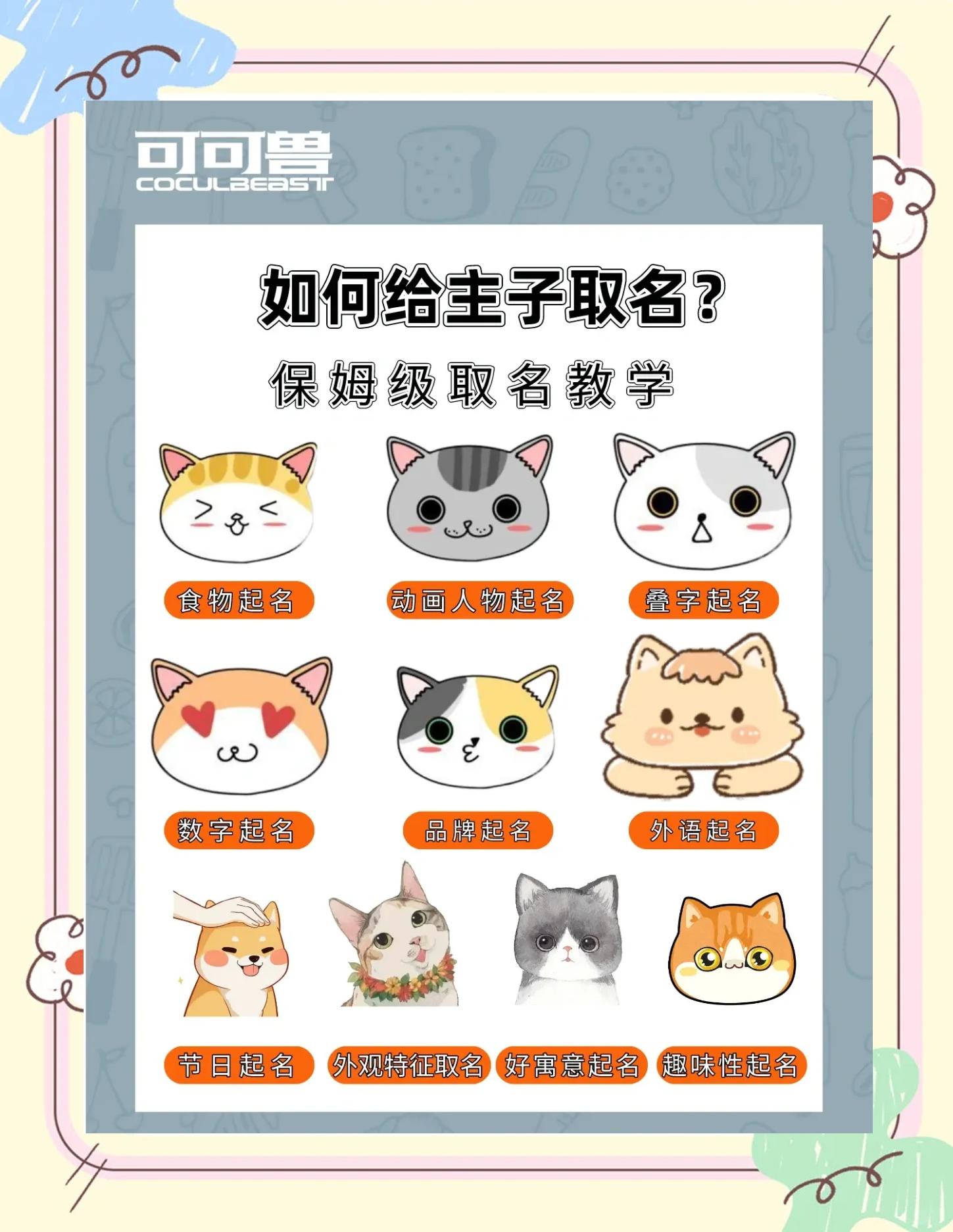 权威起名指南(权威起名指南网)
