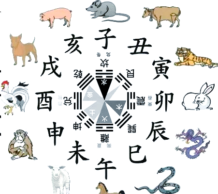 西北缺角大忌属相(西北缺角大忌属相,适合挂什么画)
