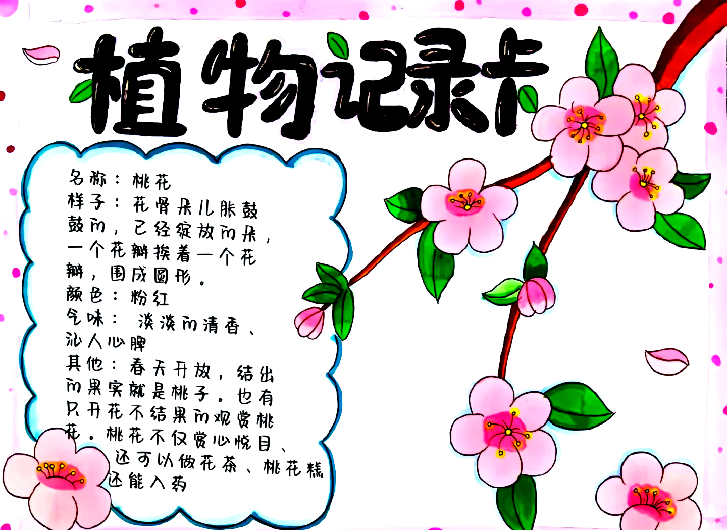 免费姓名测有几朵桃花(免费测命里有几朵桃花在线测)