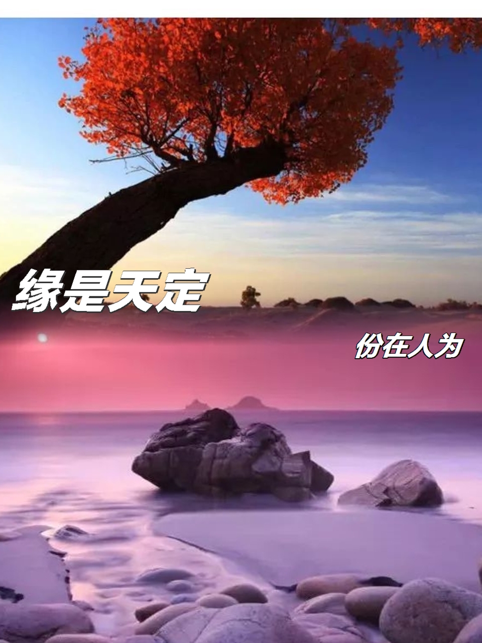 姓名测缘份(姓名测缘分尽了吗) 姓名测缘份(姓名测缘分尽了吗)