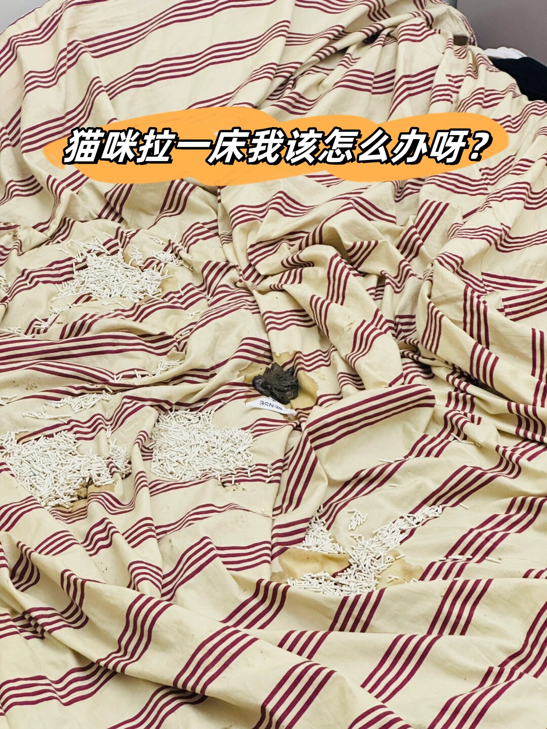 梦见屎床什么预兆(梦见屎拉床上什么预兆)