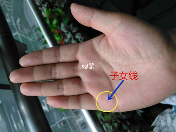 算八字有几个孩子免费(算八字有两段婚姻怎么算)