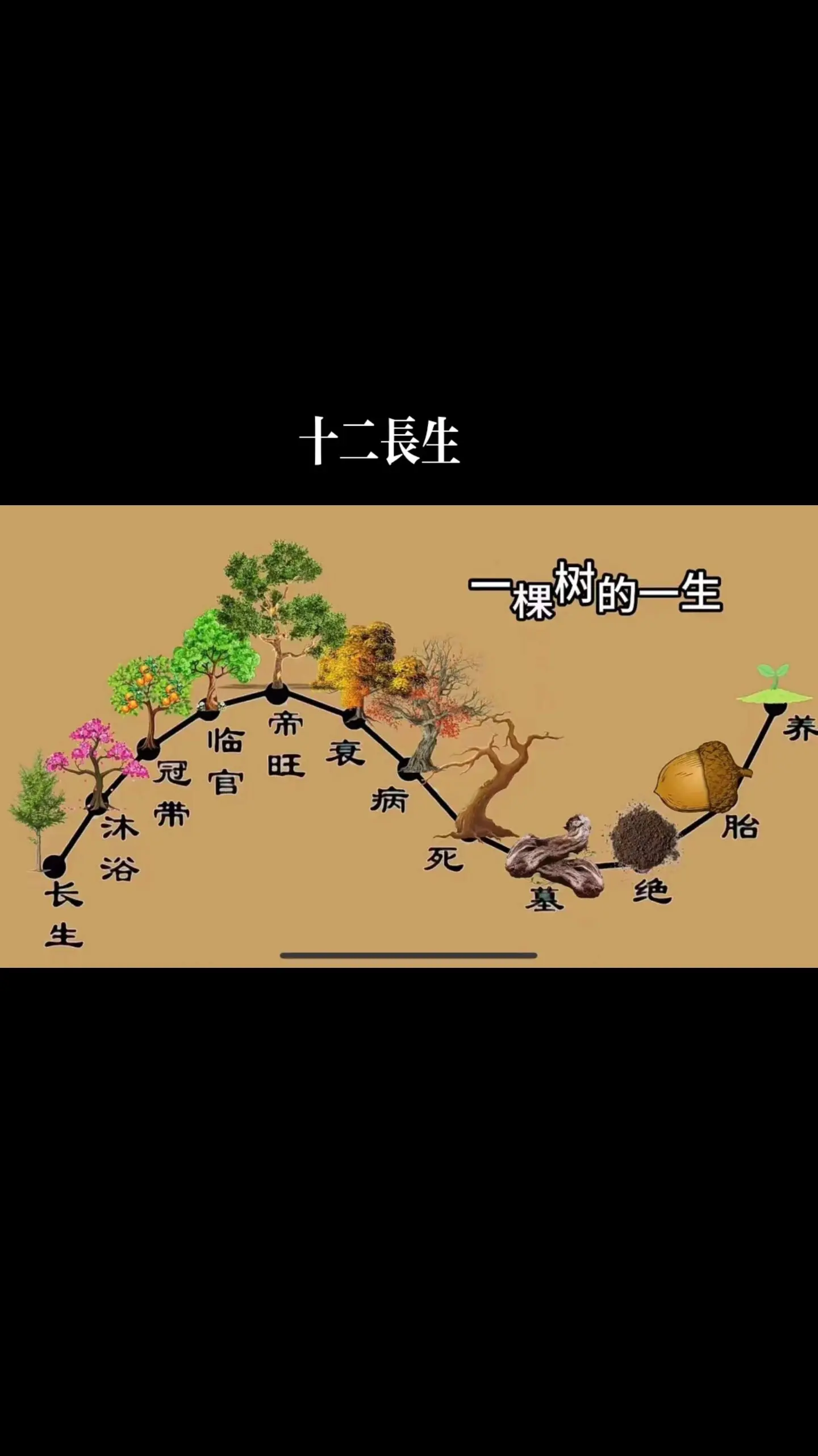 十二骨相论人生(十二骨相算命结果)
