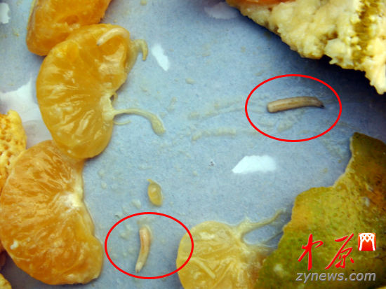 周公解梦梦屎(周公解梦梦见屎臭味)