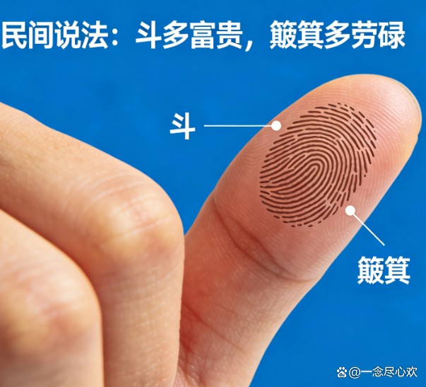 算命教程手指(手指算命图解100条)