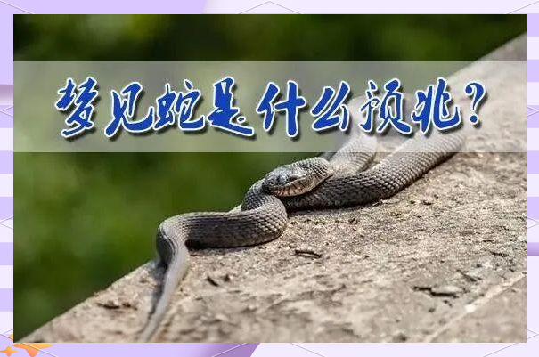 免费解梦大全周公解梦梦见蛇(解梦大全周公解梦梦见蛇咬自己) 免费解梦大全周公解梦梦见蛇(解梦大全周公解梦梦见蛇咬自己)