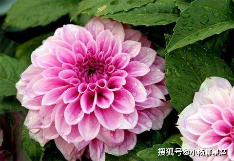 三世书看一生财禄(三世书根据生辰八字看衣禄)