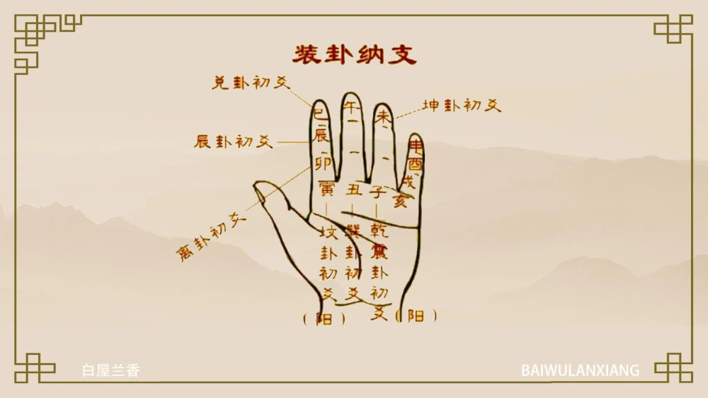 易经占卜的草是什么草(易经蓍草占卜什么时间最好)