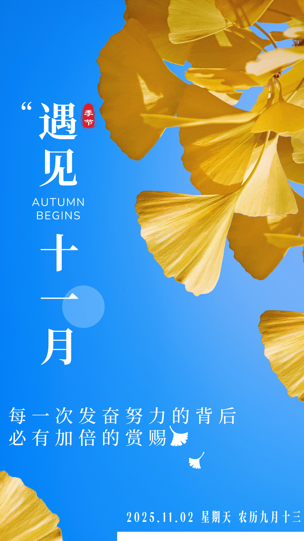 每日一签每日一签(观音每日一签免费灵签)