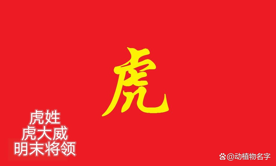 姓字代表什么动物最准(幸字代表十二生肖什么动物)
