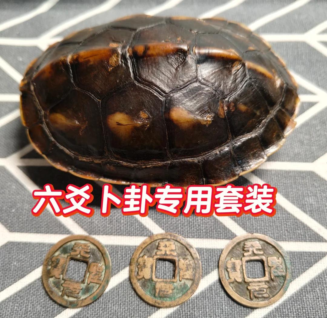 六爻龟壳每日一卦有啥用(六爻龟壳每日一卦诸葛神算)