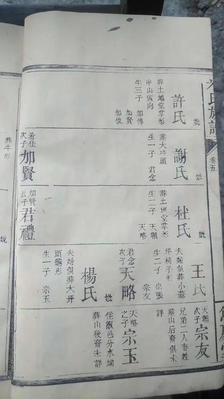 米姓全部是一家吗(米姓米家最有钱的是谁)