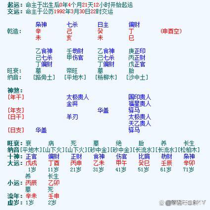八字排盘宝官方网站(马国峻八字排盘宝免费版)