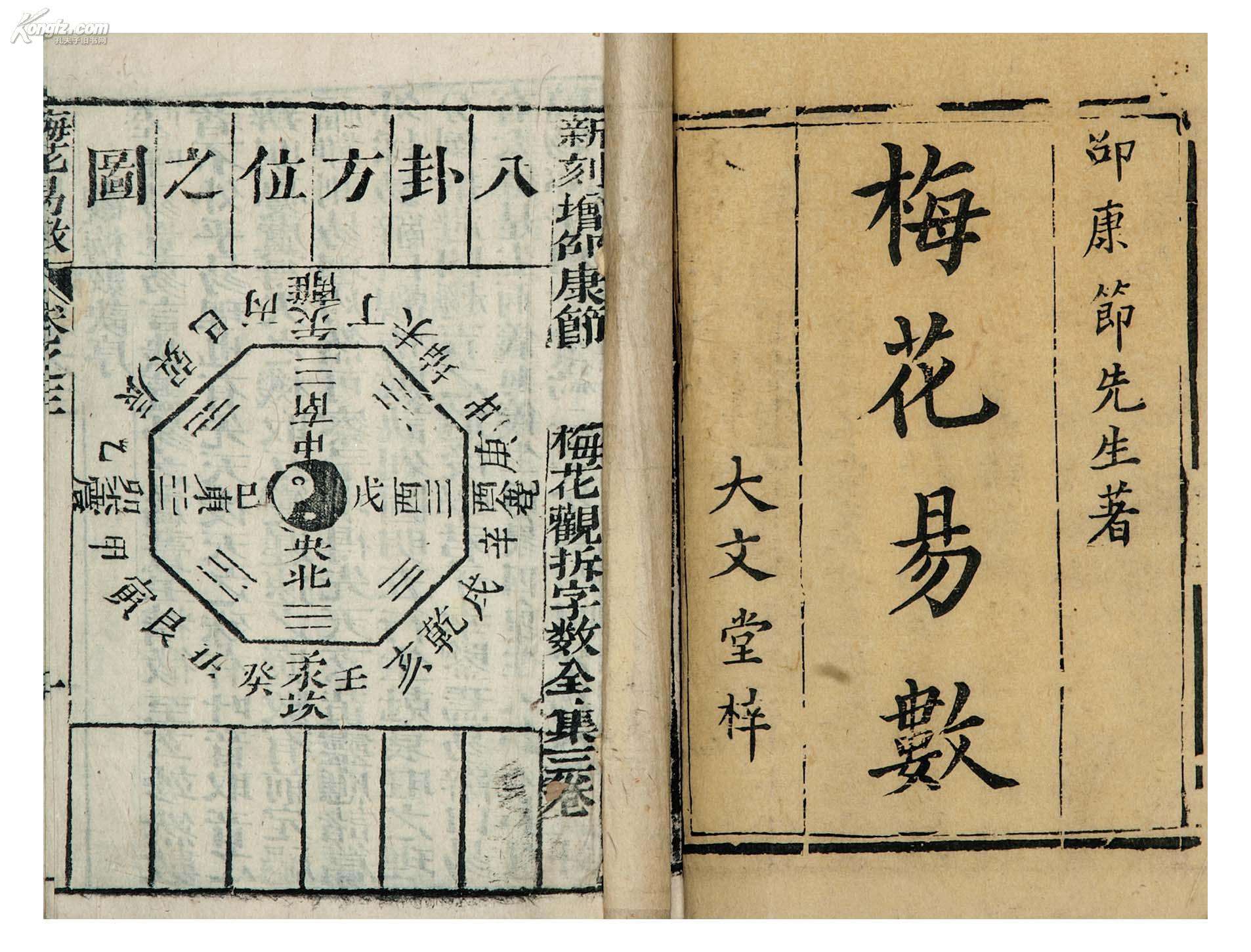 梅花易数ai占卜(梅花易数占卜app)