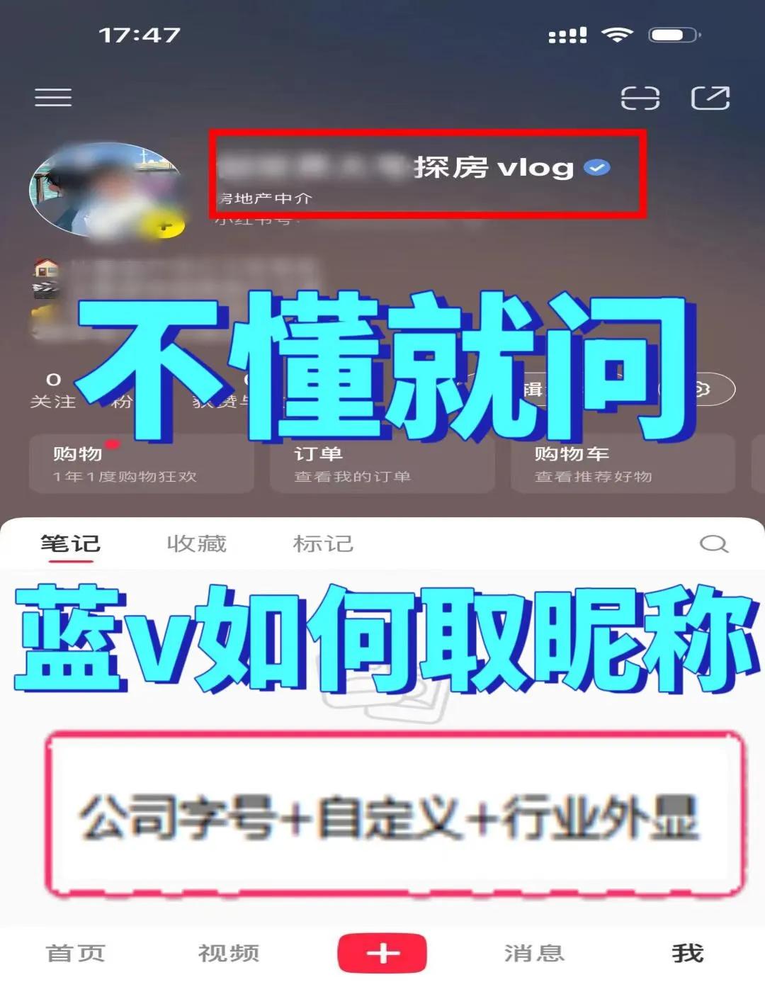 平台取名(2026取名热门女名平台)