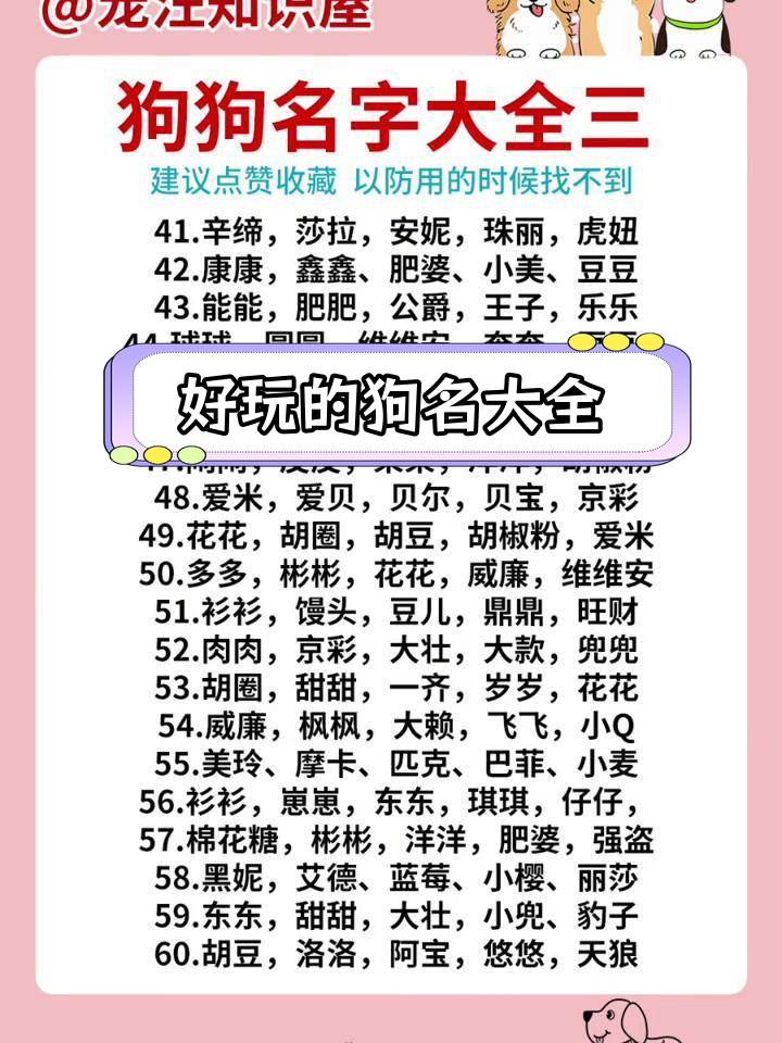 狗狗起名测试(狗狗起名大全男狗)