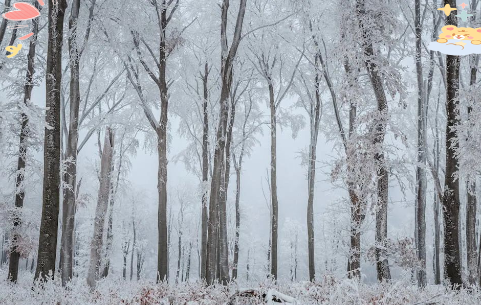 周公解梦下雪了是什么意思(周公解梦女人下雪是什么意思) 周公解梦下雪了是什么意思(周公解梦女人下雪是什么意思)