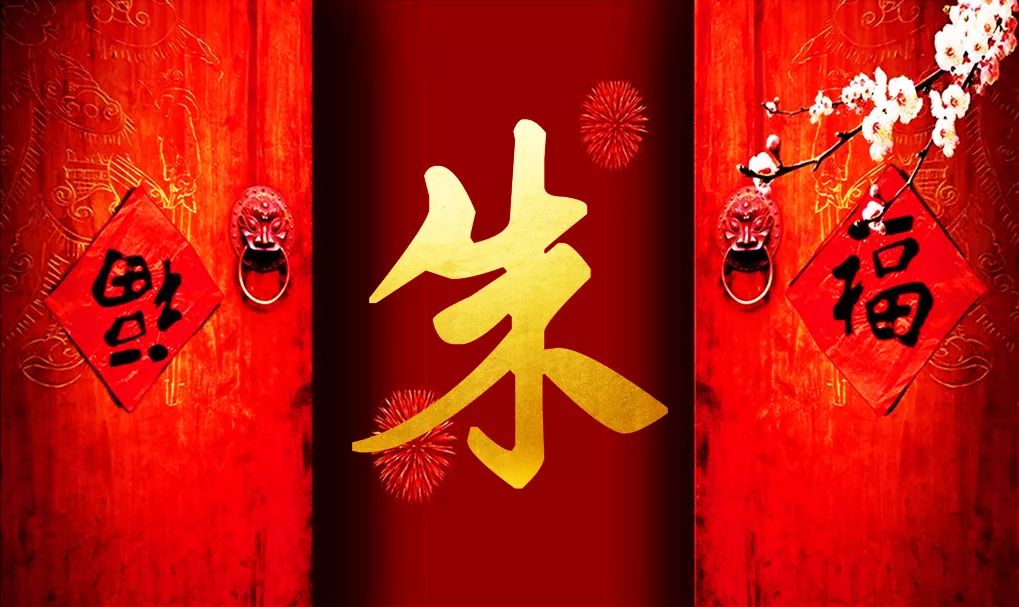 朱姓有多少人口2025年(朱姓有多少人口2025年增长)