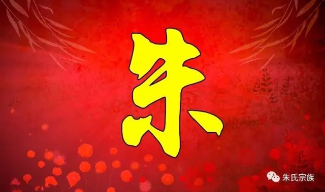 朱姓有多少人口2025年(朱姓有多少人口2025年增长)